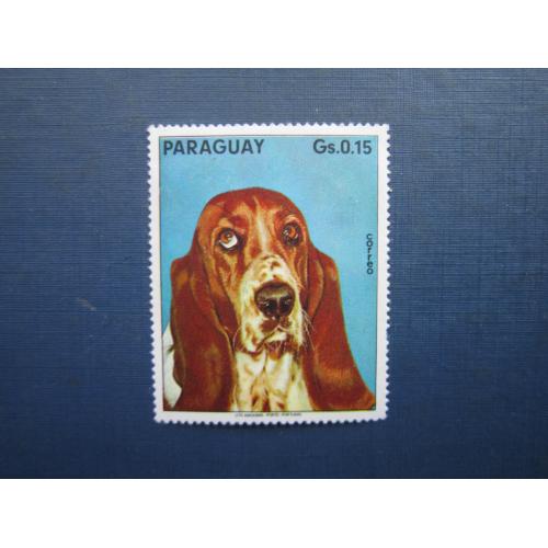 Марка Парагвай фауна собака бассет-хаунд MH