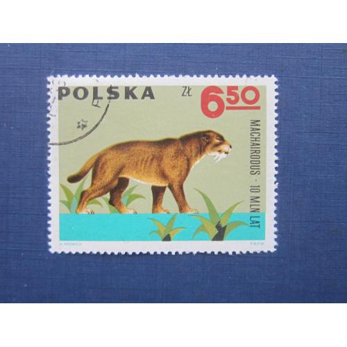 Марка Польша 1966 фауна вымершие животные саблезубый тигр гаш