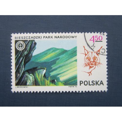 Марка Польша 1976 фауна рысь гаш