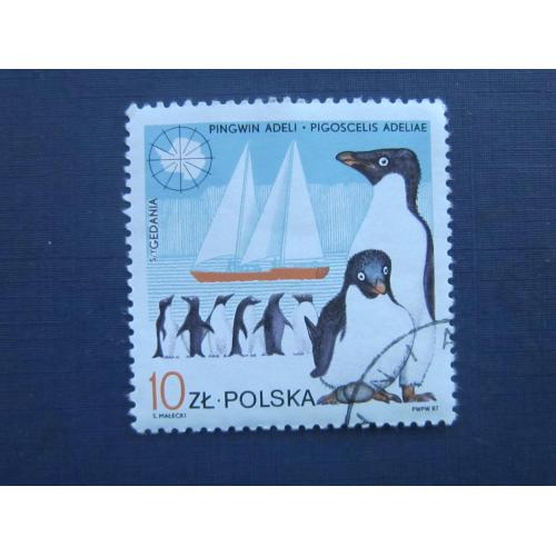 Марка Польша 1987 фауна пингвины транспорт корабль яхта гаш