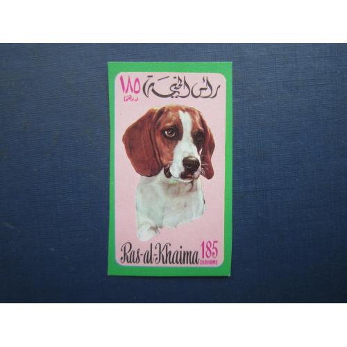 Марка Рас-аль-Хайма ОАЕ 1971 фауна собака бігль MNH