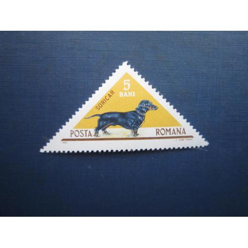 Марка Румунія 1965 фауна собака такса MNH