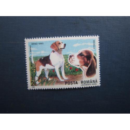 Марка Румунія 1990 фауна собака бігль MNH