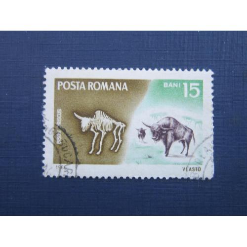 Марка Румыния 1966 фауна бизон бык гаш