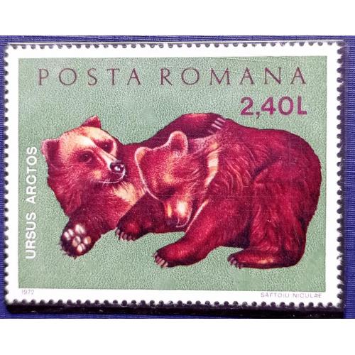 Марка Румыния 1972 фауна медведь MNH главная марка серии