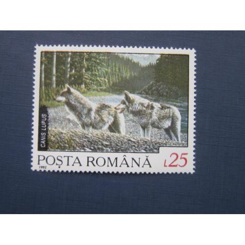 Марка Румыния 1992 фауна волк волки MNH