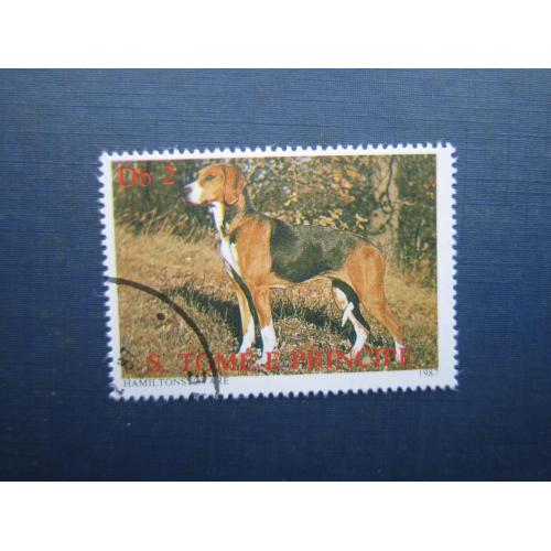 Марка Сан-Томі та Принсипі 1987 фауна собака гончак шведський фоксхаунд Гамільтона гаш