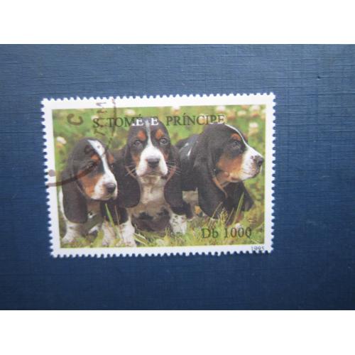 Марка Сан-Томі та Принсипі 1995 фауна собака бассет-хаунд гаш КЦ 3 $