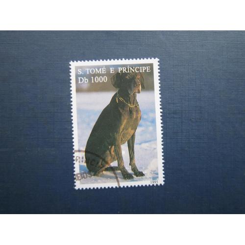 Марка Сан=Томі та Принсипі 1995 полювання фауна собака мисливська гаш КЦ 3 $