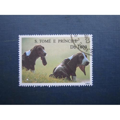 Марка Сан-Томі та Припсипі 1995 фауна собака бассет-хаунд гаш КЦ 3 $