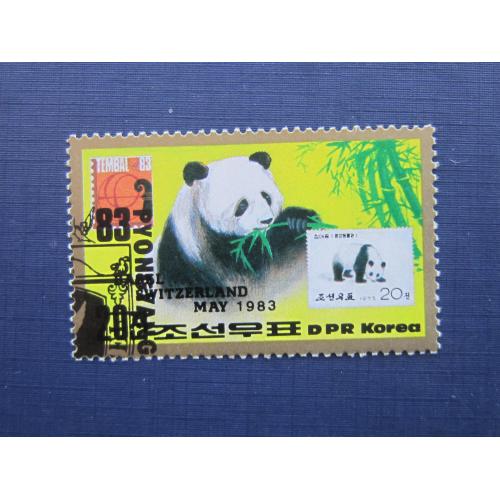 Марка Северная Корея КНДР 1983 фауна панда гаш