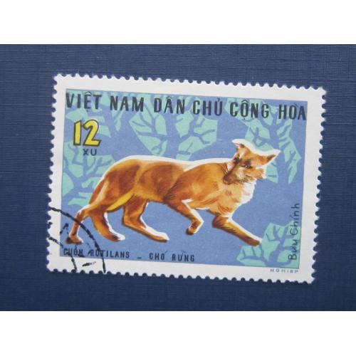 Марка Северный Вьетнам 1967 фауна красный волк гаш