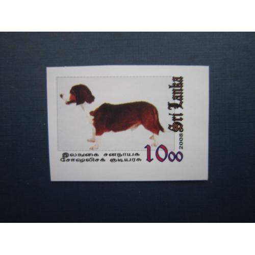 Марка Шрі-Ланка 2008 фауна собака бігль MNH