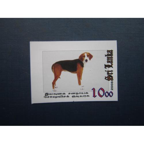 Марка Шрі-Ланка 2008 фауна собака гончак фоксхаунд MNH