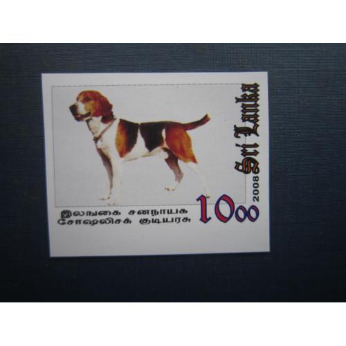 Марка Шрі-Ланка 2008 фауна собака гончак MNH