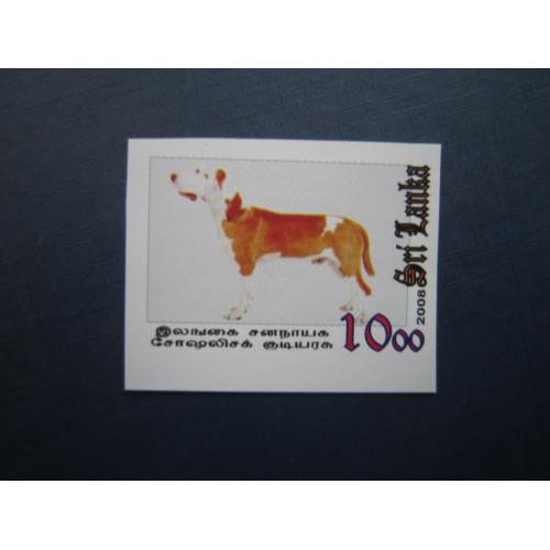 Марка Шрі-Ланка 2008 фауна собака мисливська MNH