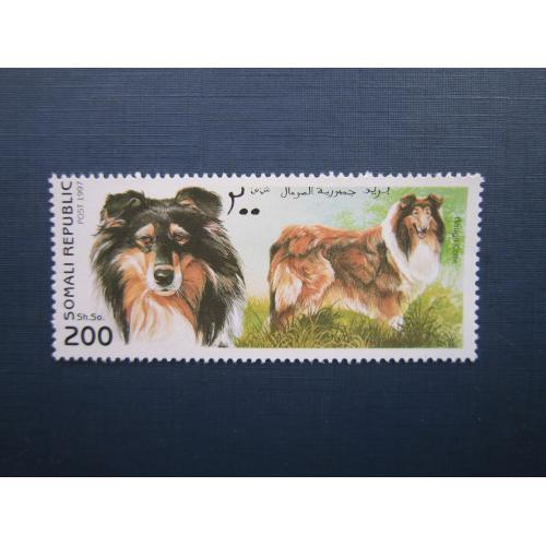 Марка Сомали 1997 фауна домашние собаки порода коли шотландская овчарка MNH