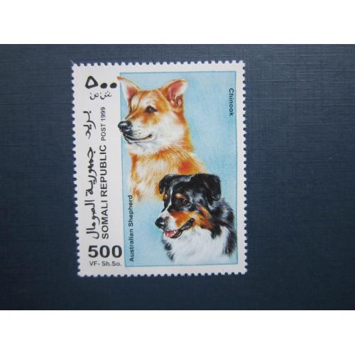 Марка Сомали 1999 фауна домашние собаки бордер-колли и чинук MNH