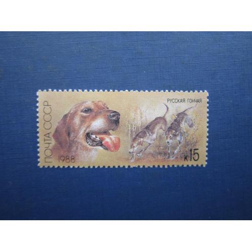 Марка СРСР 1988 полювання фауна собака гончак російський MNH