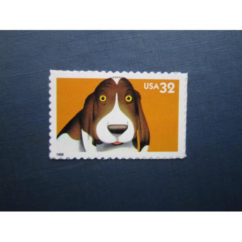 Марка США 1998 фауна собака бассет-хаунд MNH