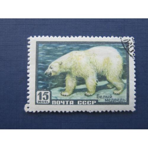 Марка СССР 1957 фауна белый медведь гаш