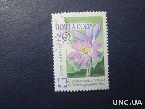 марка СССР 1960 цветок безвременник
