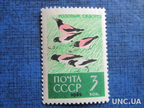 марка СССР 1962 розовый скворец н/гаш
