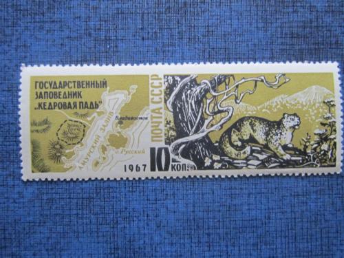 марка СССР 1967 Заповедник Кедровая Падь леопард н/гаш