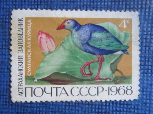 марка СССР 1968 Астраханский заповедник Султанская курица н/гаш