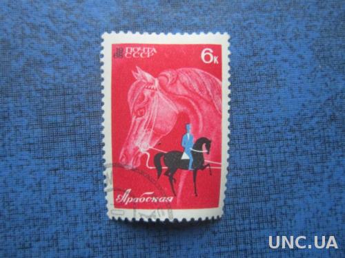 марка СССР 1968 коневодство и конный спорт Арабская гаш
