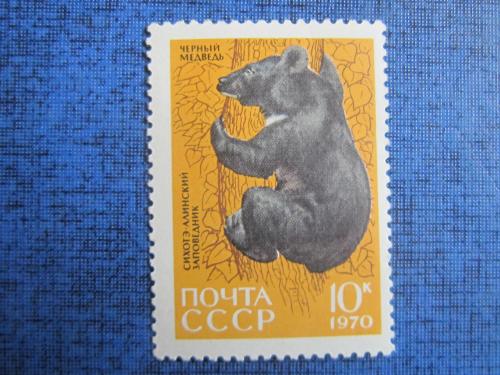 марка СССР 1970 Чёрный медведь н/гаш MNH 