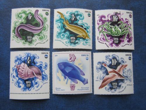 6 марок СССР 1975 Фауна морская ЭКСПО-75 MNH