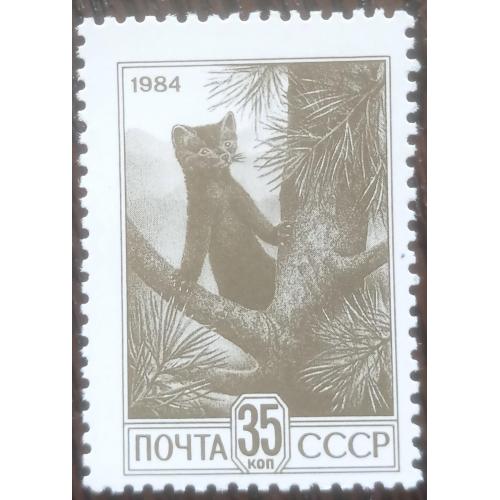 Марка СССР 1984 стандарт фауна соболь MNH