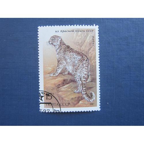 Марка СССР 1987 фауна барс снежный леопард ирбис гаш