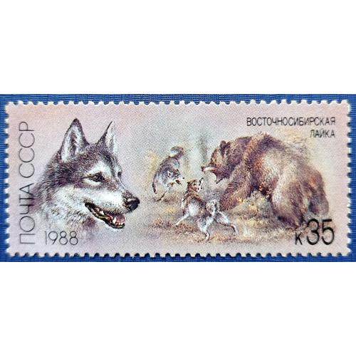 Марка СССР 1988 фауна медведь охота собака восточно-сибирская лайка MNH