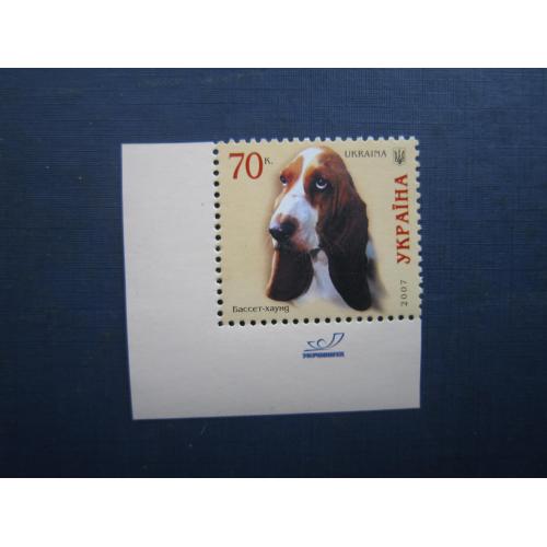 Марка Україна 2007 фауна собака бассет-хаунд MNH