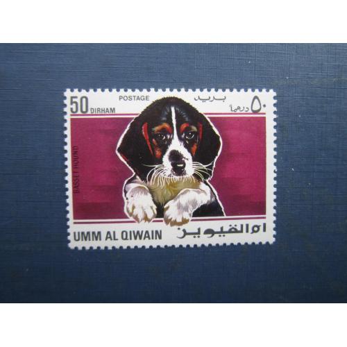 Марка Ум-ель-Квейн ОАЕ 1973 фауна собака бассет-хаунд MNH