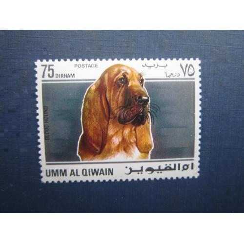Марка Ум-ель-Квейн ОАЕ 1973 фауна собака бладхаунд MNH