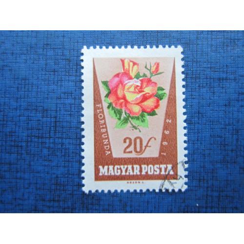 Марка Венгрия 1962 флора цветок роза 20 филлеров гаш