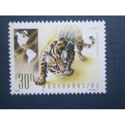 Марка Венгрия 1998 фауна дикая кошка оцелот MNH