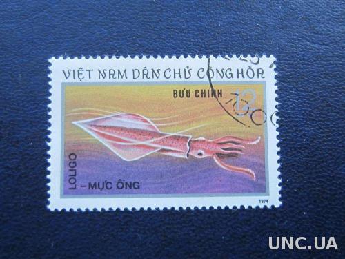 марка Вьетнам 1974 кальмар
