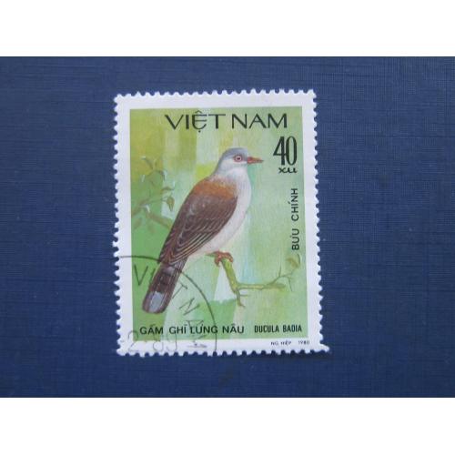 Марка Вьетнам 1980 фауна птица лесная гаш