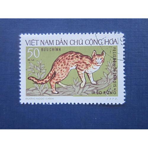 Марка Вьетнам Северный 1973 фауна Бенгальская дикая кошка с зубцами гаш