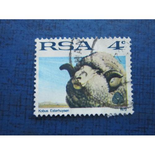 Марка ЮАР 1972 фауна овца баран гаш