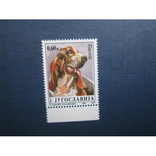Марка Югославія 1994 фауна собака бассет-хаунд MNH