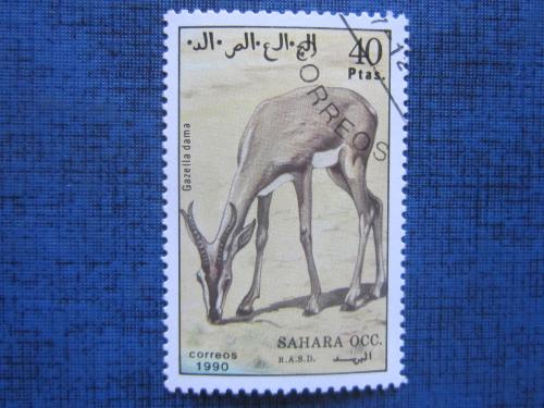  марка  Западная Сахара 1990 фауна антилопа гаш