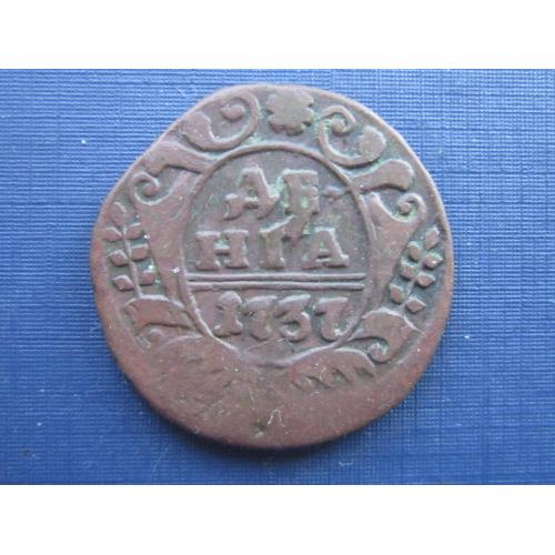 Монета 1/2 пол копейки денга Российская империя 1737 неплохая