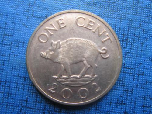 Монета 1 цент Бермуда Британские Бермудские острова 2002 фауна свинья поросёнок