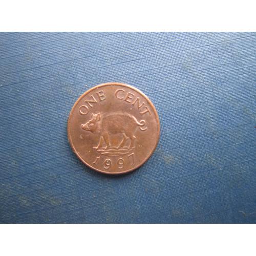 Монета 1 цент Бермудські острови Бермуда Британська 1997 фауна свиня порося