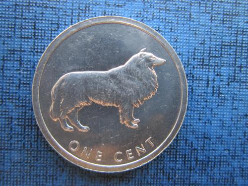 Монета 1 цент Остова Кука 2003 фауна собака колли UNC